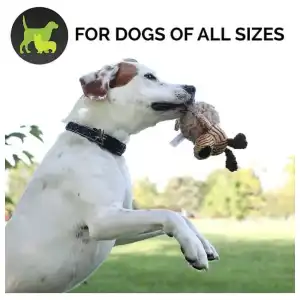 Juguete para perros Hyper Pet Bumpy Palz miniatura 4