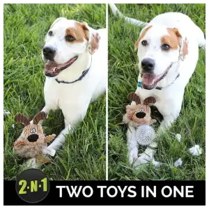 Juguete para perros Hyper Pet Bumpy Palz miniatura 5