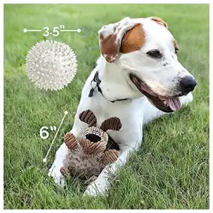 Juguete para perros Hyper Pet Bumpy Palz miniatura 3
