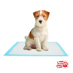 Tapetes de entrenamiento talla S para mascotas miniatura 1