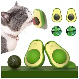 Catnip para gatos miniatura 4