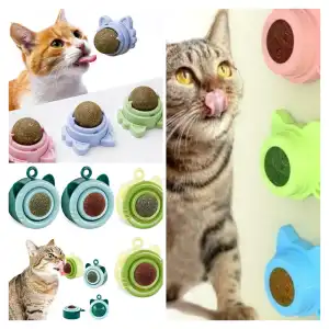 Catnip para gatos miniatura 2