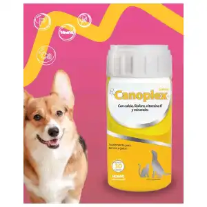 Canoplex miniatura 1