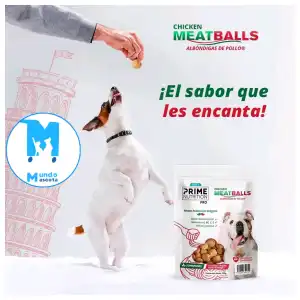 Croquetas italianas para perros miniatura 1