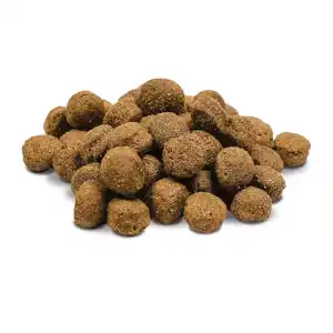 Pienso de sabor a res miniatura 2