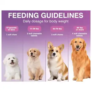 Probióticos para perros (200 tab) miniatura 3