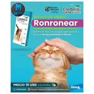 Credelio para gatos miniatura 1