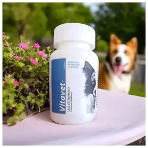Vitavet (complejo vitamínico para mascotas) miniatura 1