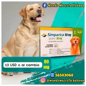 Simparica de 80mg 20-40 kg miniatura 1
