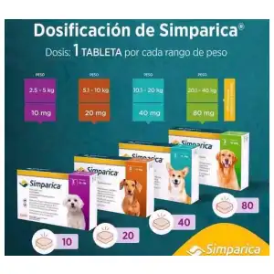 Simparica de 80mg 20-40 kg miniatura 2