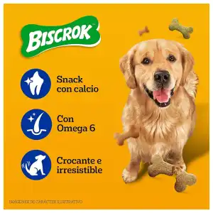 Galletas Biscrok miniatura 2