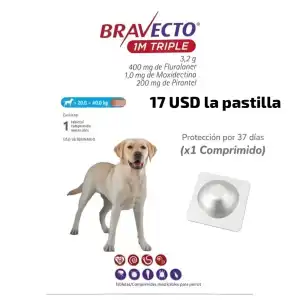 Bravecto 1M Triple 20-40 kg miniatura 1