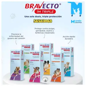 Bravecto 1M Triple 20-40 kg miniatura 2