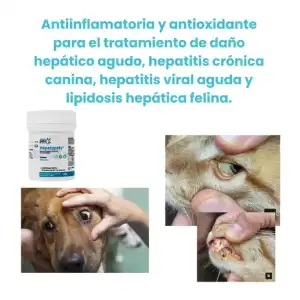 Hepatopets (Silimarina) miniatura 6