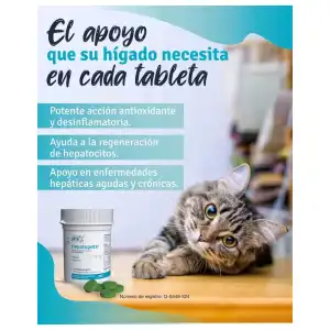 Hepatopets (Silimarina) miniatura 4
