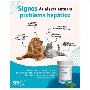 Hepatopets (Silimarina) miniatura 3
