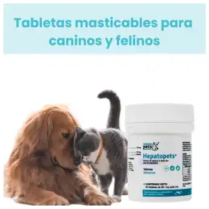 Hepatopets (Silimarina) miniatura 5