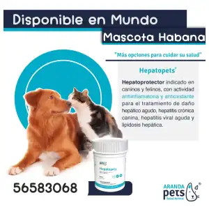 Hepatopets (Silimarina) miniatura 2