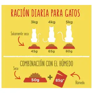 Pienso Purina 4kg para gatos miniatura 6