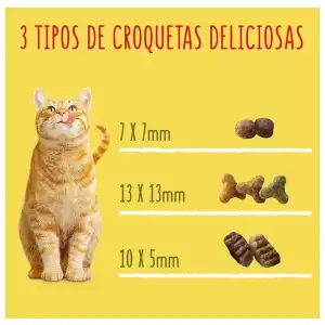 Pienso Purina 4kg para gatos miniatura 3