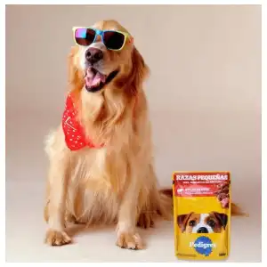 Sobres de comida húmeda para perros miniatura 1