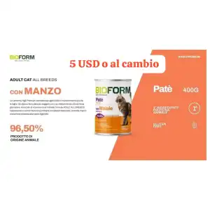 Paté sabor carne de res para gatos miniatura 2