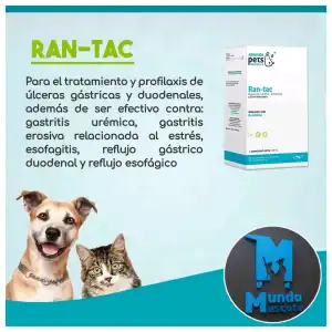 Ranitidina 100ml miniatura 1