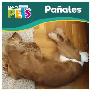 Paquete de Pañales desechables talla XL para perros y gatos miniatura 3