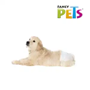 Paquete de Pañales desechables XS para perros y gatos miniatura 3