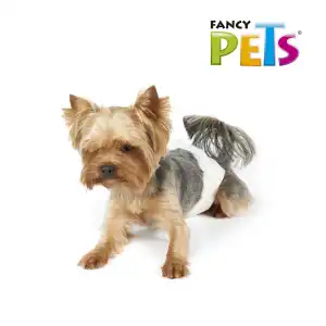 Pañales desechables talla XXS para perros y gatos miniatura 3